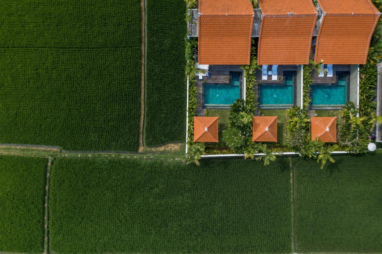Sawah Villas Ubud Eksteriør bilde